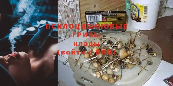 дмт Заводоуковск