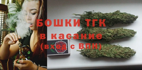 дмт Заводоуковск