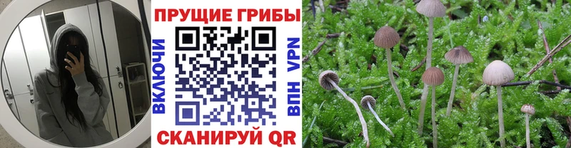 Галлюциногенные грибы мухоморы  Новочеркасск 